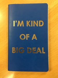 Witty Quote notebook